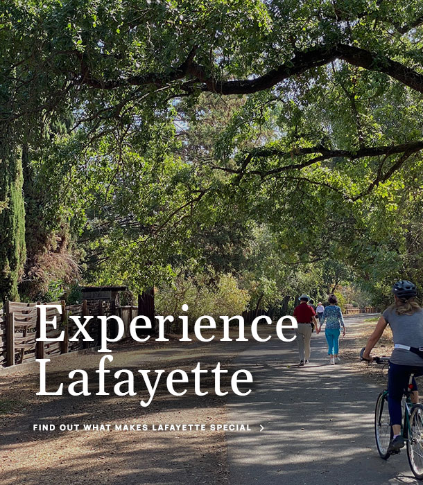 Lafayette Businesses website